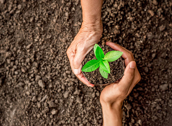 environmental sustainability